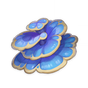 Rukkhashava Mushrooms